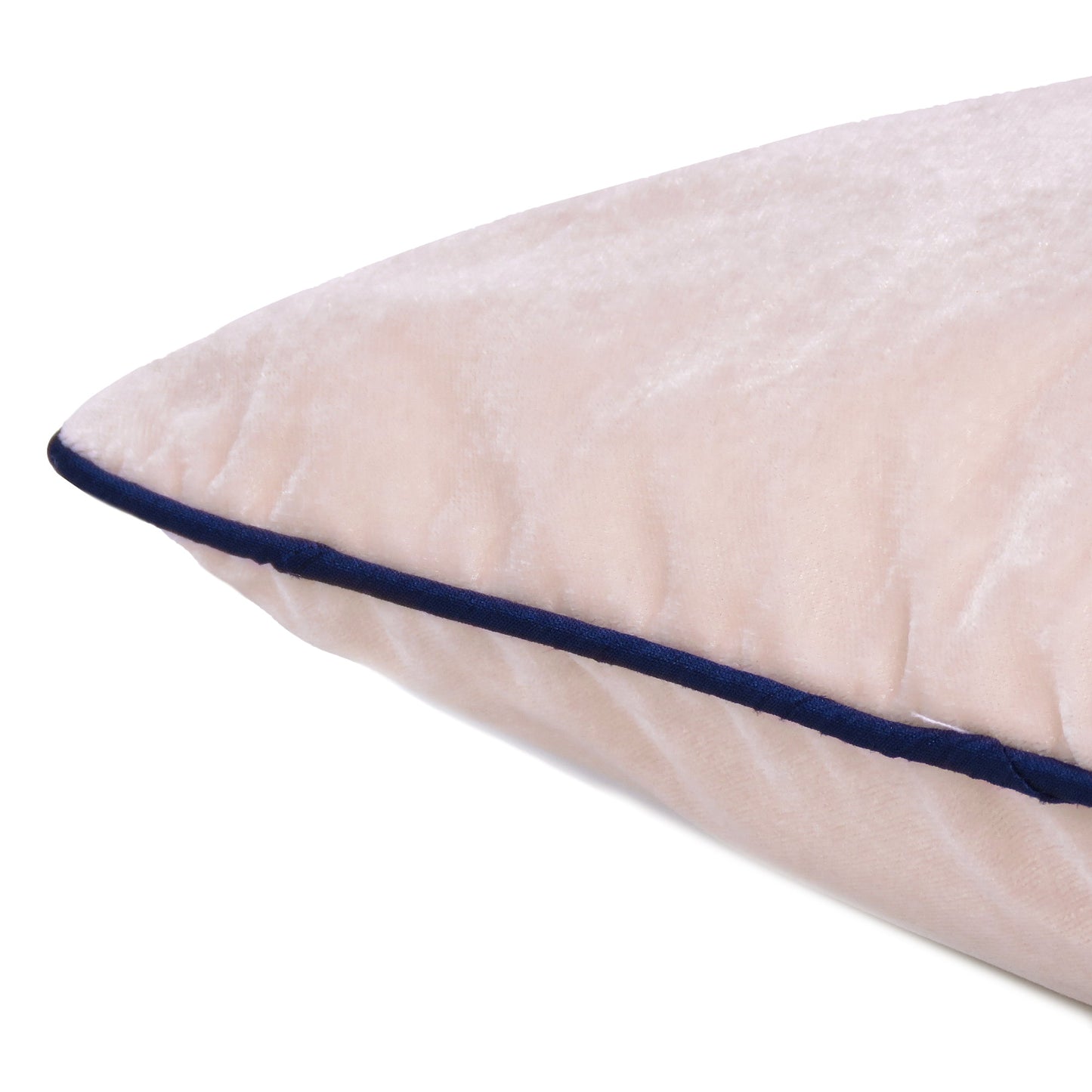 Gossamer Pink Velvet Cushion Cover with Navy Blue Piping Edge in Set of 2